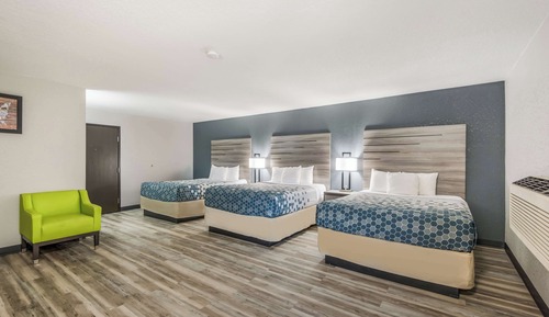 Suite, Multiple Beds