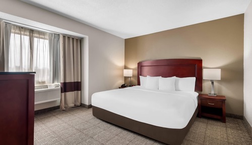 Business Room, 1 King Bed, Non Smoking