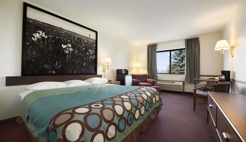 Studio Suite, 1 King Bed, Non Smoking