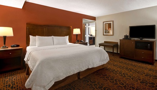 Suite, 1 King Bed, Accessible, Refrigerator & Microwave (Bathtub)
