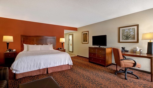 Room, 1 King Bed with Sofa bed, Non Smoking, Refrigerator & Microwave