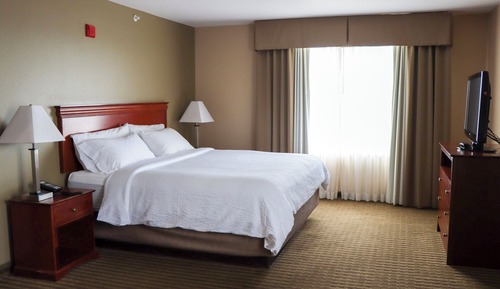 Standard Room, 1 King Bed, Mountain View