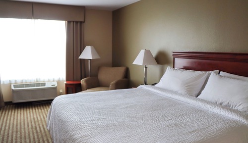 Standard Room, 1 King Bed, Mobility Accessible (Roll-In Shower)
