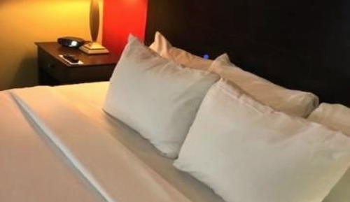 Standard Single Room, 1 King Bed, Accessible, Non Smoking
