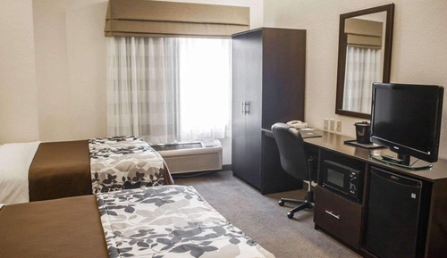 Standard Double Room, 2 Double Beds, Non Smoking