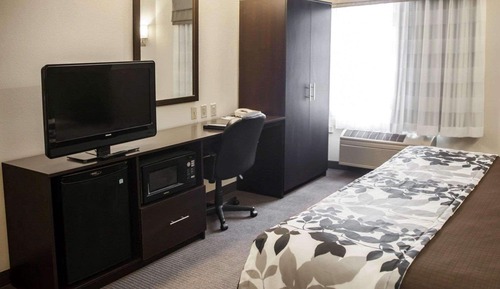 Suite, 1 King Bed with Sofa bed, Accessible, Non Smoking
