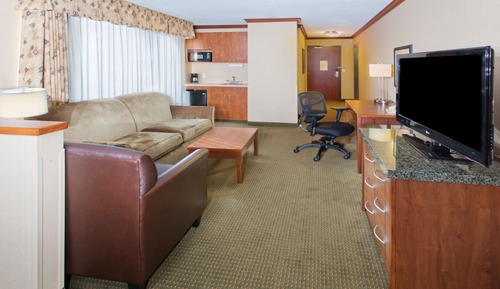 Suite, 1 King Bed (Living Area)