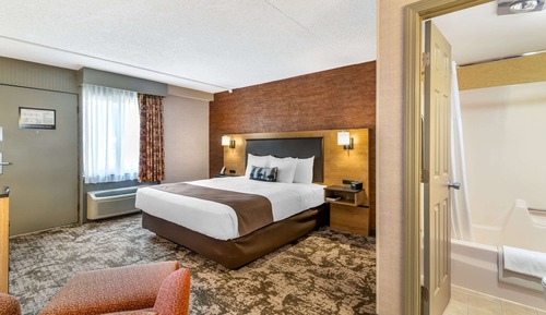 Standard Room, 1 King Bed, Non Smoking