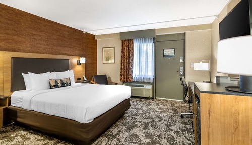 Room, 1 Queen Bed, Accessible, Non Smoking