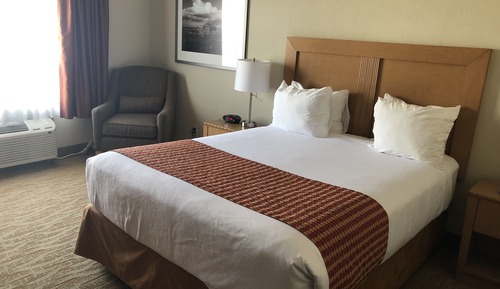 Standard Room, 1 Queen Bed, Accessible, Refrigerator