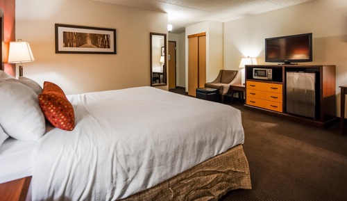 Standard Room, 1 King Bed, Non Smoking, Refrigerator & Microwave