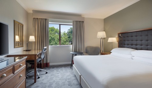 Deluxe Room, 1 King Bed, Non Smoking