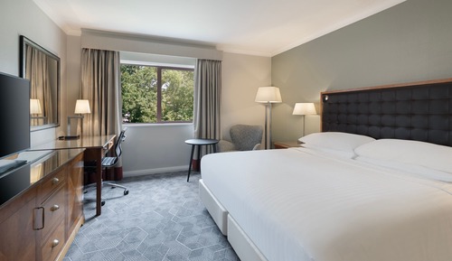 Superior Room, 1 King Bed, Non Smoking