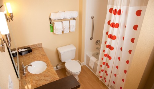 Suite, 1 Bedroom (Mobility/Hearing Access, Roll-In Shwr)