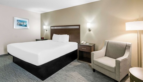 Standard Room, 1 King Bed, Accessible, Non Smoking (Walk-in Shower)