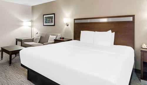 Suite, 1 King Bed, Accessible, Non Smoking (Walk-in Shower;with Sofabed)