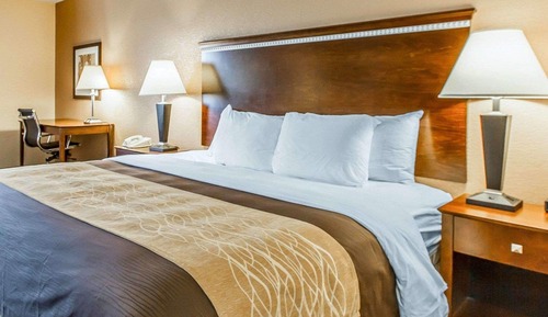 Standard Room, 1 King Bed, Non Smoking