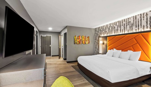 Room, 1 King Bed, Accessible, Bathtub (Mobility, Hearing, Nonsmoking)
