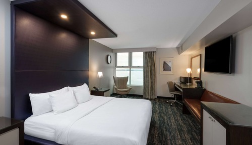 Room, 1 King Bed, Non Smoking, View (Lake Front View)