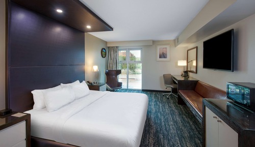 Room, 1 King Bed, Non Smoking, View (City Side View)