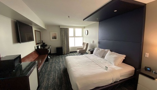 Business Room, 1 King Bed, Non Smoking