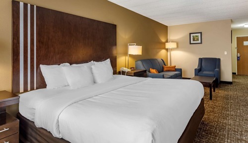 Room, 1 King Bed