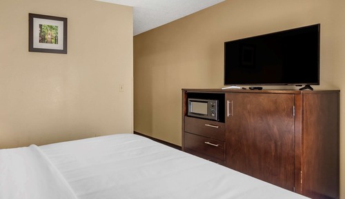Room, 1 King Bed