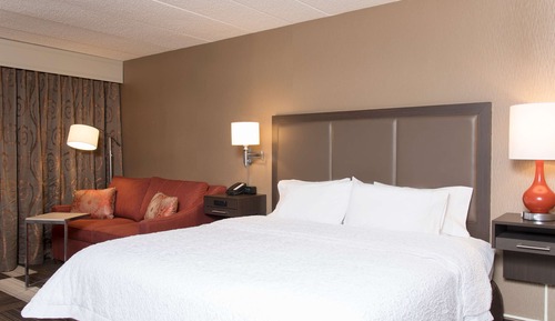 Room, 1 King Bed, Accessible, Non Smoking
