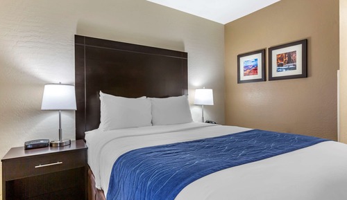Standard Room, 1 Queen Bed, Roll-in Shower, Accessible, Non Smoking