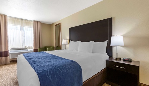 Standard Room, 1 King Bed, Non Smoking
