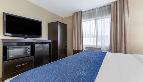 Standard Room, 1 King Bed, Roll-in Shower, Accessible, Non-Smoking