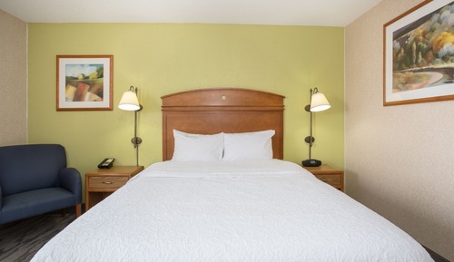 Room, 1 Double Bed, Non Smoking