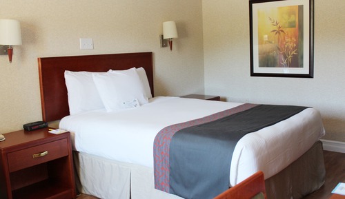 Room, 1 Queen Bed, Non Smoking