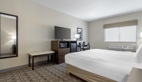 Standard Room, 1 King Bed, Non Smoking, Refrigerator & Microwave