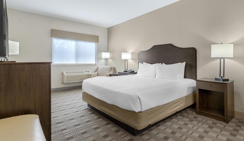 Standard Room, 1 King Bed, Accessible, Non Smoking