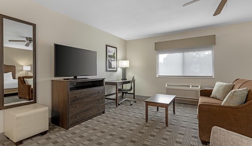 Standard Room, 1 King Bed, Non Smoking, Jetted Tub (Oversized Room;with Sofabed)