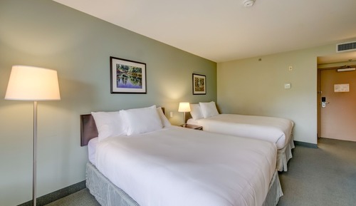 Standard Double Room, 2 Double Beds (Not Pet-Friendly)
