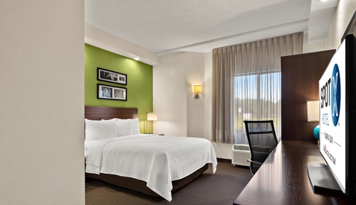 Business Room, 1 Queen Bed, Accessible, Non Smoking (Roll-In Shower)