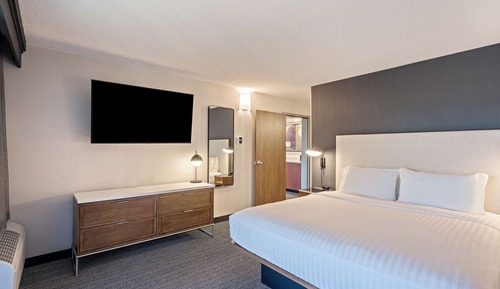 Suite, 1 King Bed with Sofa bed