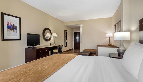 Suite, 1 King Bed with Sofa bed, Non Smoking