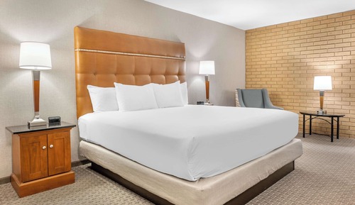 Deluxe Room, 1 King Bed, Accessible, Refrigerator & Microwave (Roll in Shower)