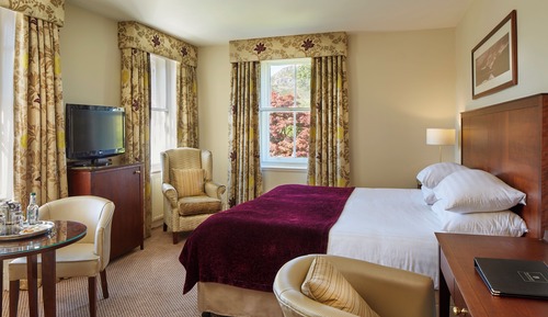 Mansion House Comfy