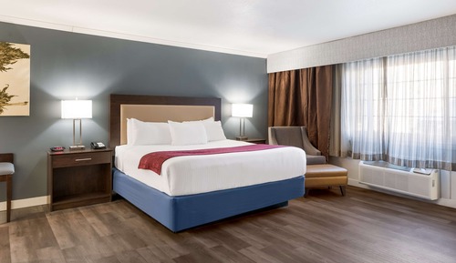 Standard Room, 1 King Bed, Accessible, Non Smoking