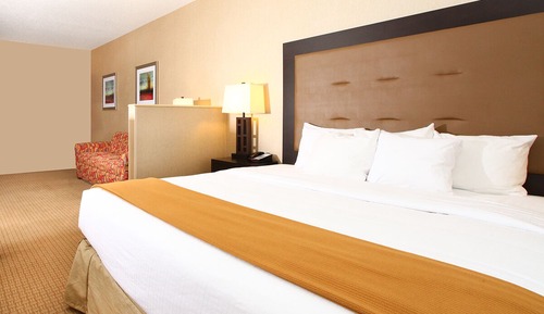 Standard Room, 1 King Bed with Sofa bed