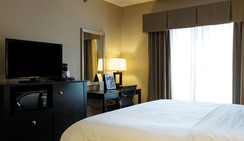 Standard Room, 1 King Bed, Accessible (Mobility, Accessible Tub)