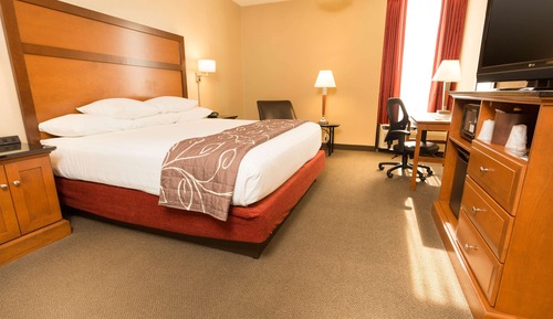 Deluxe Room, 1 King Bed, Accessible, Refrigerator & Microwave (Roll in Shower)