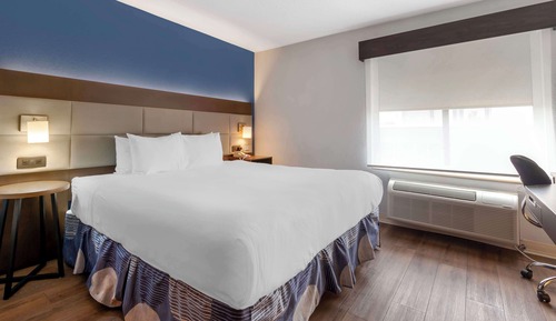 Standard Room, 1 King Bed, Non Smoking, Refrigerator & Microwave (with Sofabed)