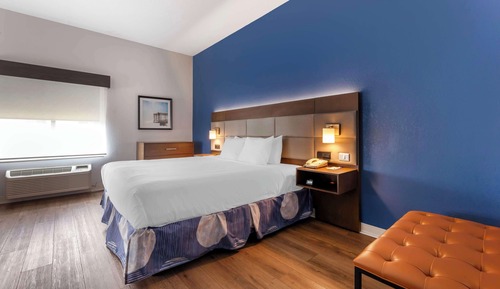 Standard Room, 1 King Bed, Non Smoking, Refrigerator & Microwave (Larger Room;with Sofabed)
