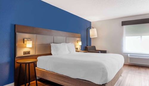 Standard Room, 1 King Bed, Non Smoking, Refrigerator & Microwave