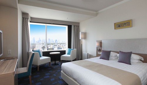 Superior Double Room with Park View - Non-Smoking